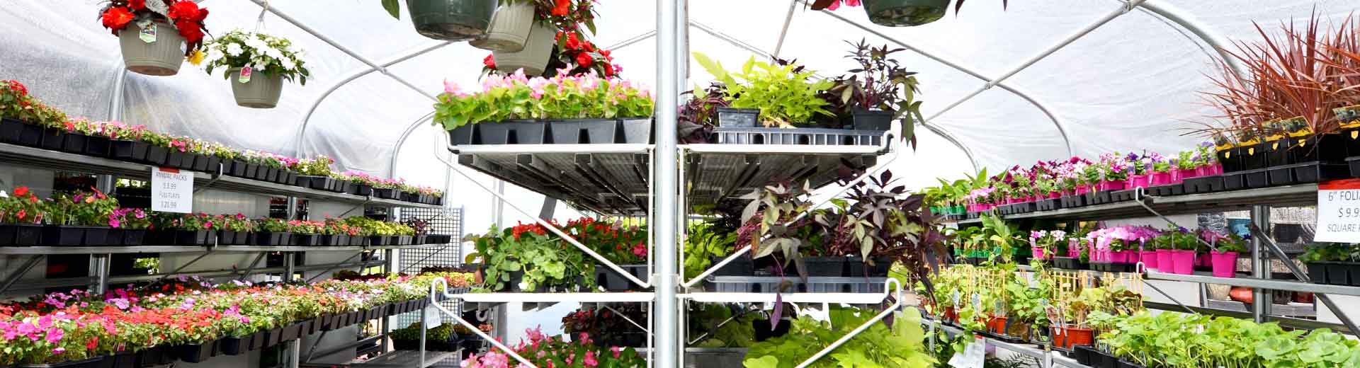 gardenhero Magnuson Sod